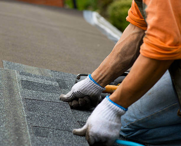 Best Roof Gutter Cleaning  in Venetian Vlage, IL