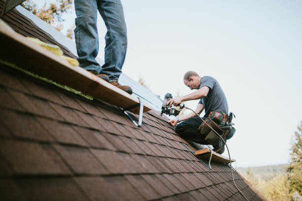 Roof Gutter Cleaning in Venetian Village, IL